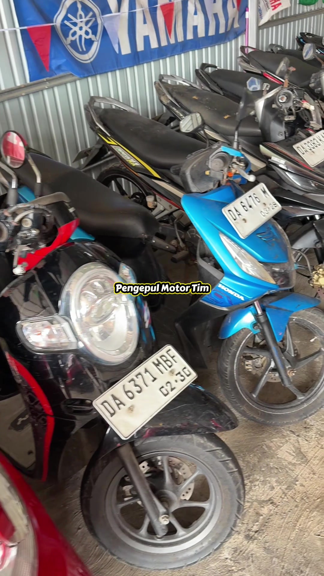 @pengepulmotortim
