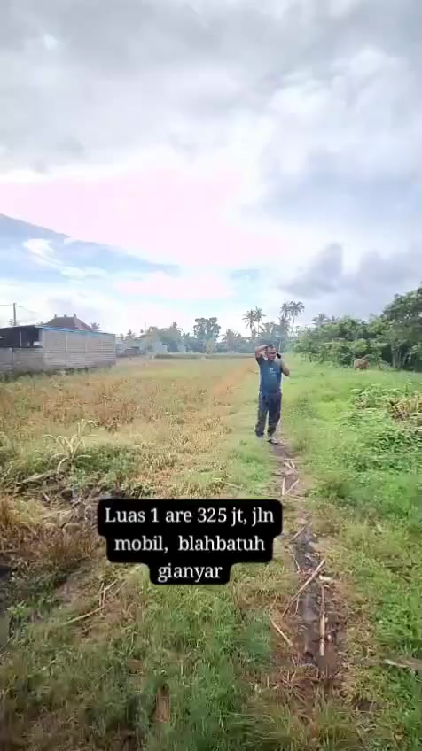 @Gus hana