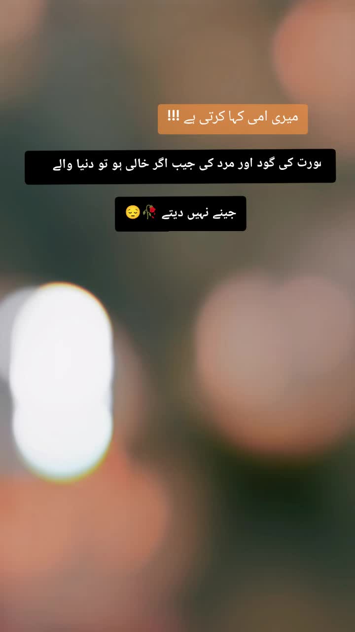 @iqman800