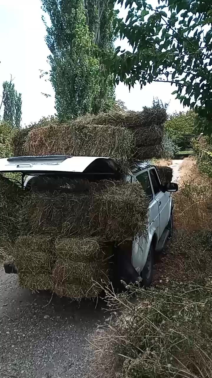 @Zahid cehrili