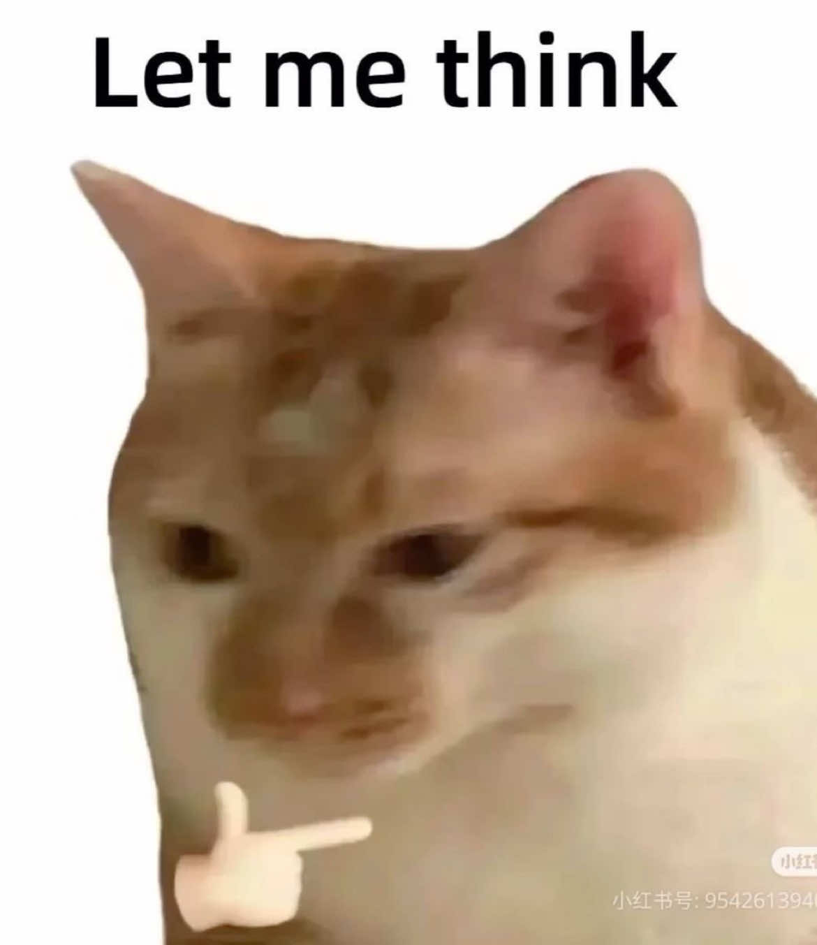 @๐๐๐ต๐ช๐พ๐ญ๐ฎ๐ฝ๐ฝ๐ฎ ๐
