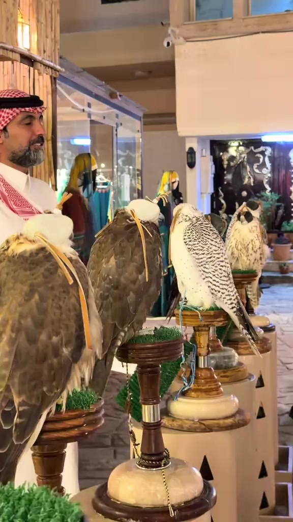 @ريشة صقر
