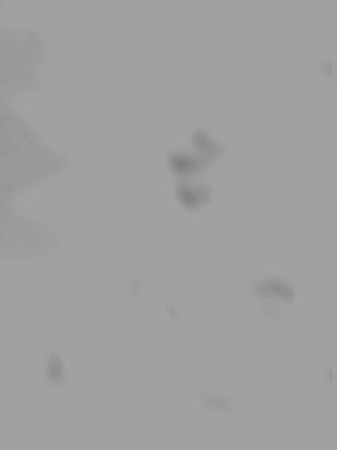 @𖤐 A𝖇𝖞𝖘𝖘 𖤐