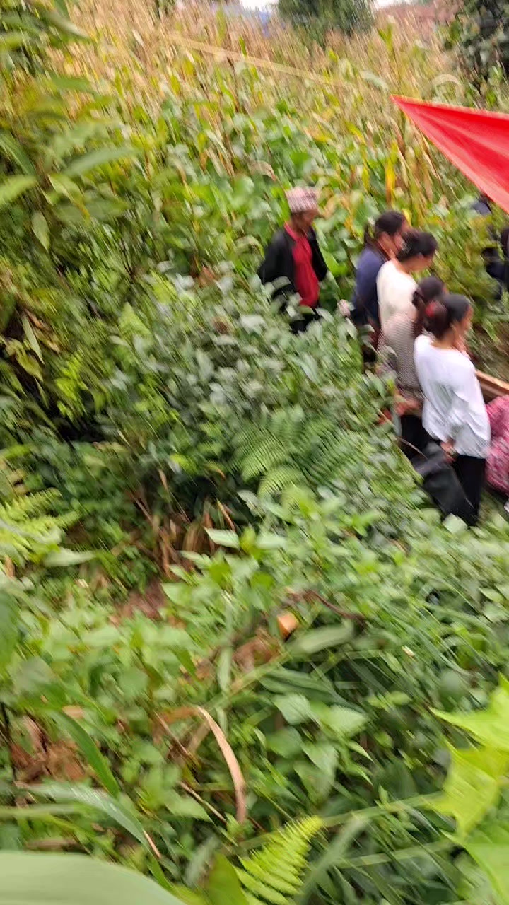@Krishna Mangyung