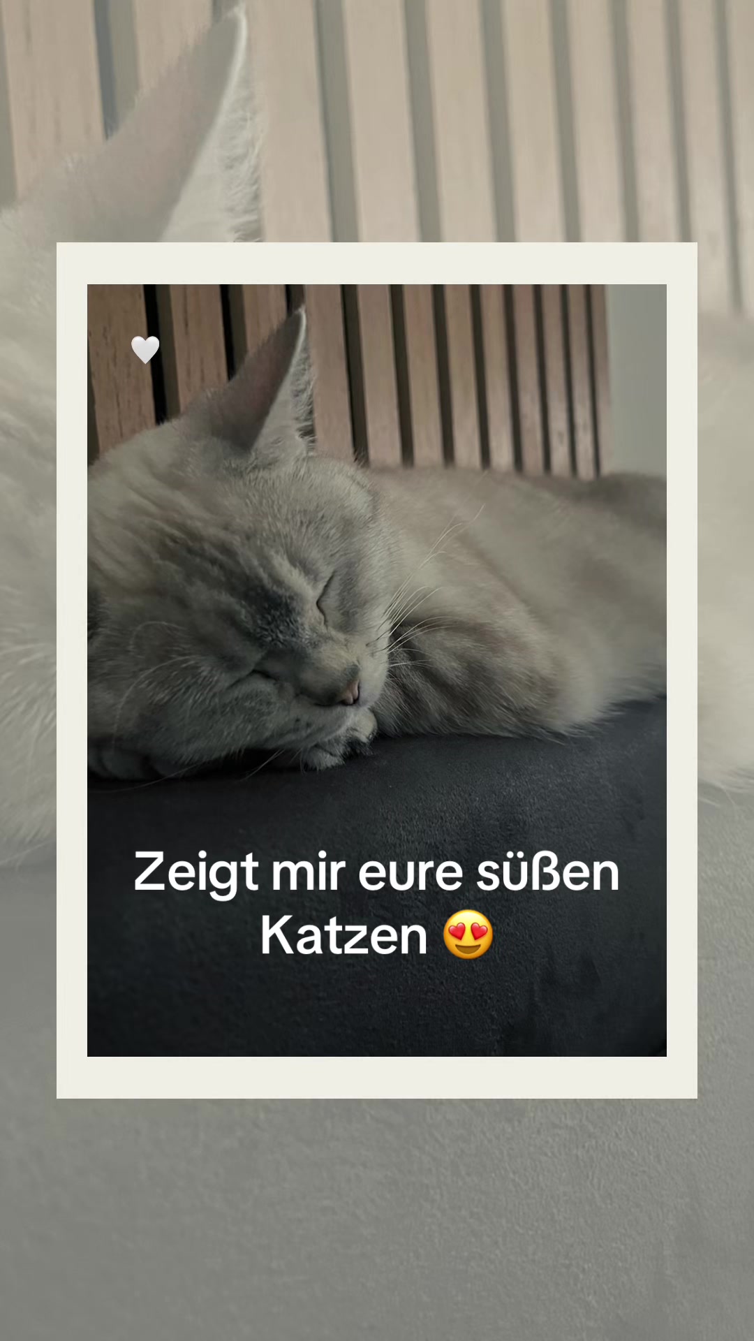 @Maya