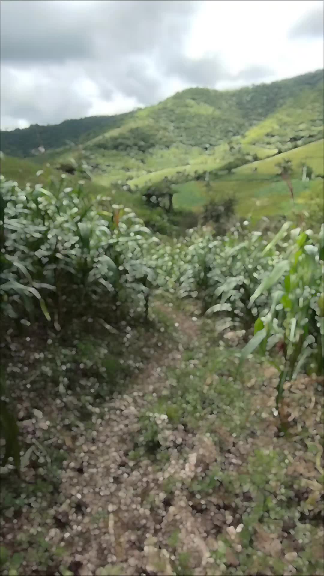 @javiarteaga2