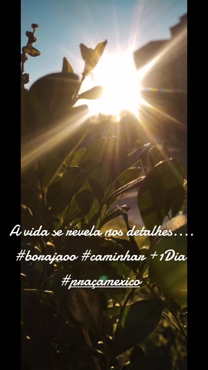@Jacqueline Cavalcanti