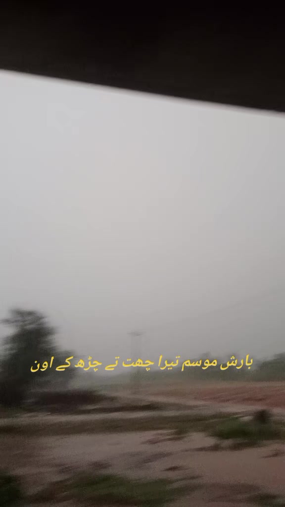 @farooqabbas517
