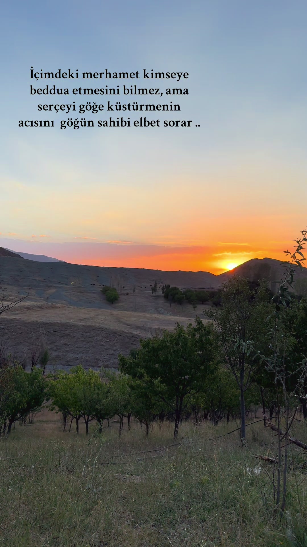 @lost.story4