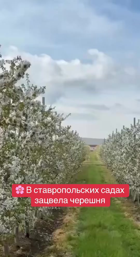 @СТАВРОПОЛЬ И КРАЙ