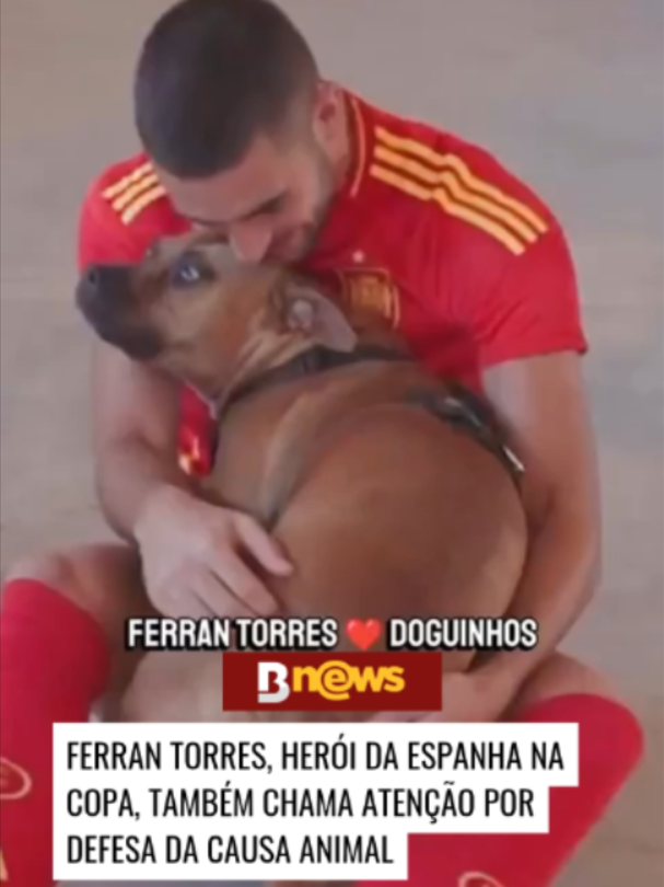 @BNews - Portal de notícias