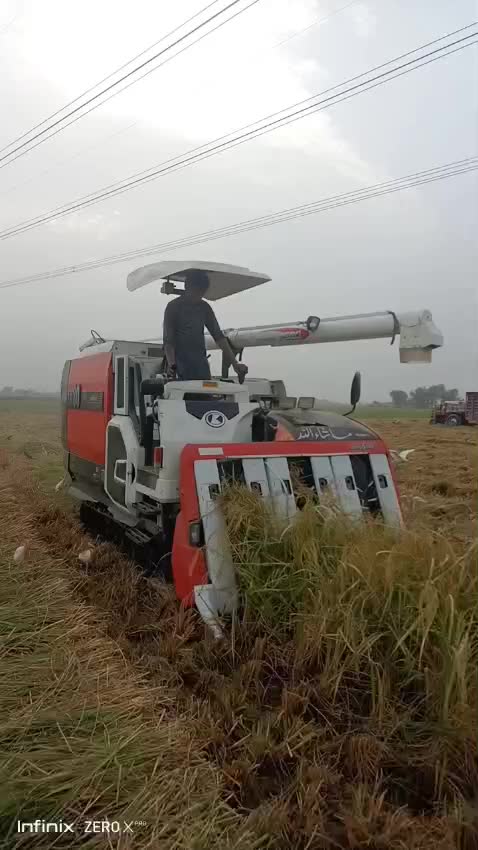 @موہل بادشاہ