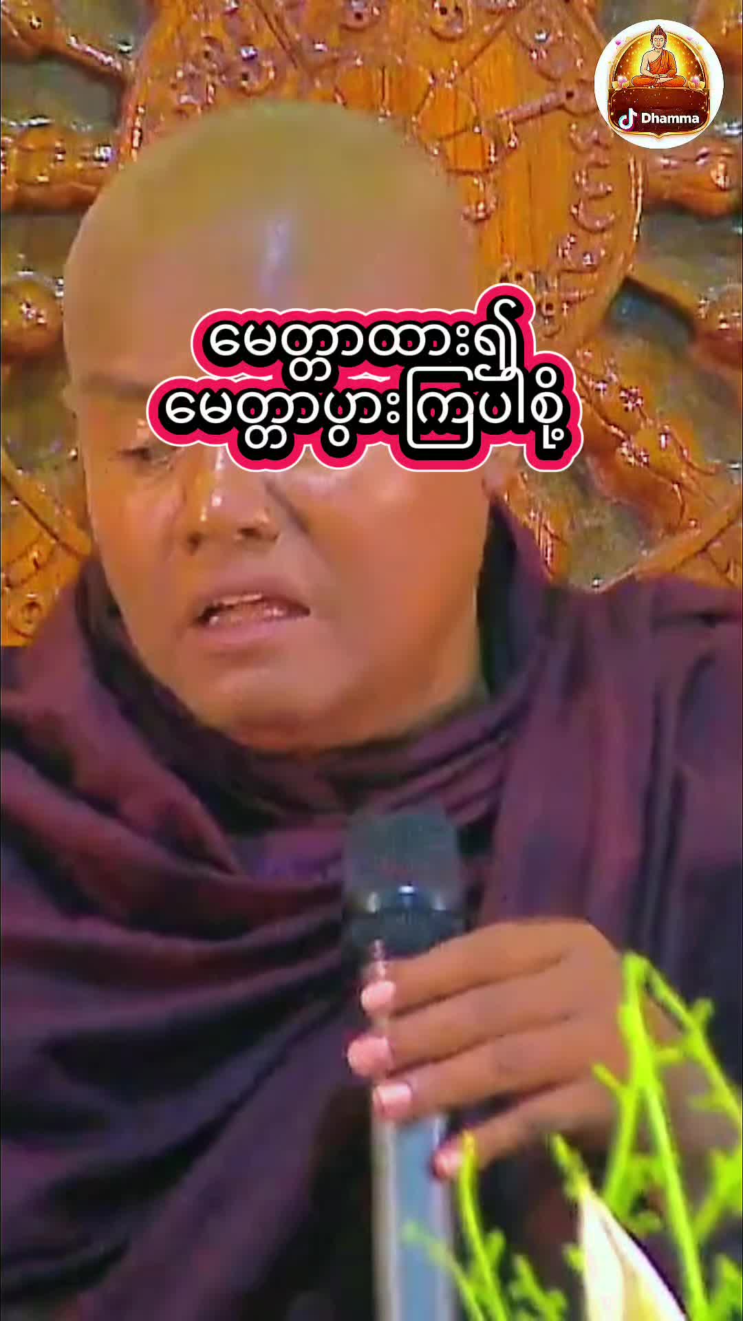 @DHAMMA