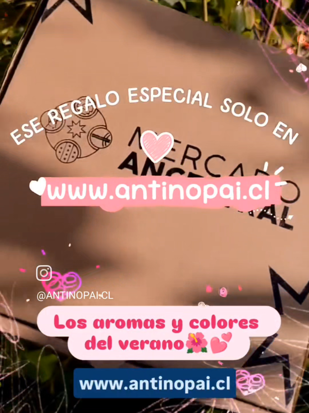@www.antinopai.cl