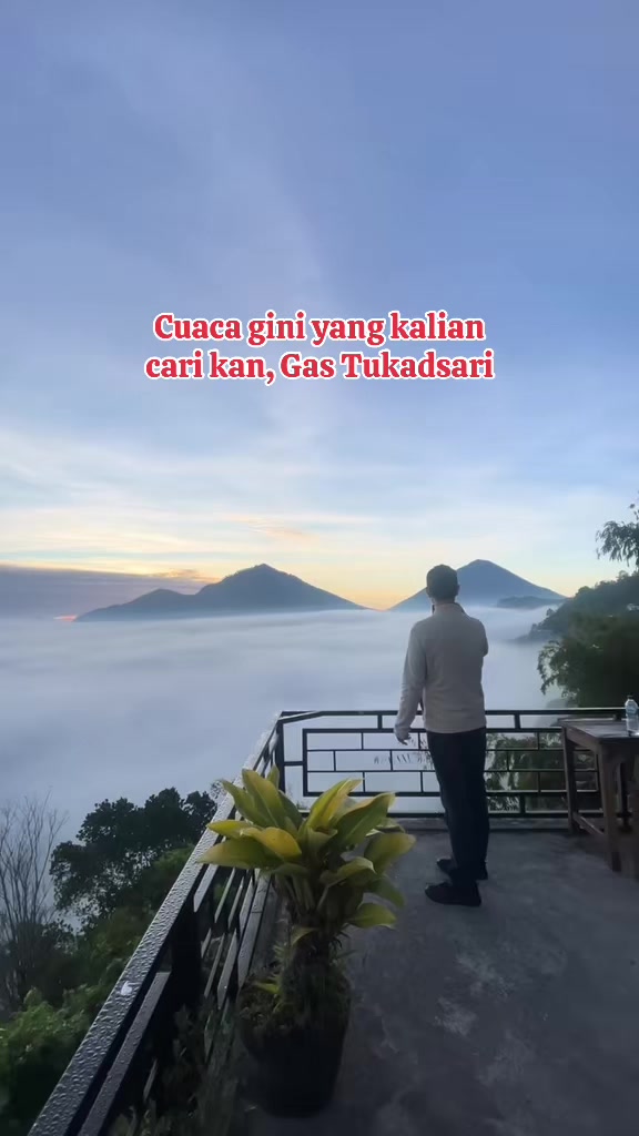 @Balinese Info
