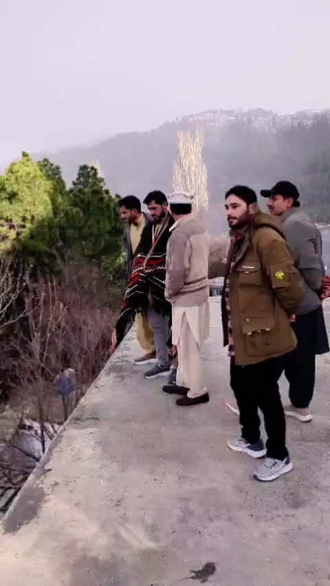 @Shahnawaz Shani PPP