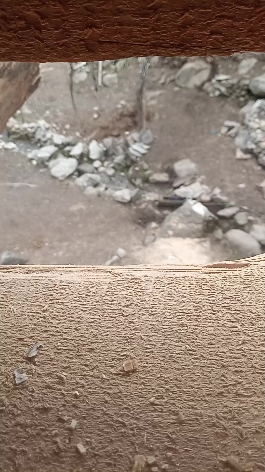@شوکت اقبال ناصر شوکت اقبال