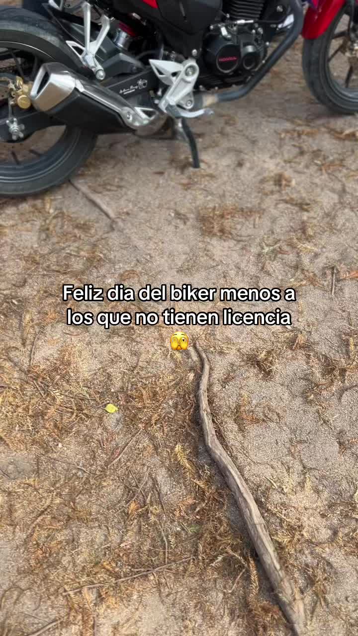 @𝐌𝐀𝐍𝐔𝐄𝐋
