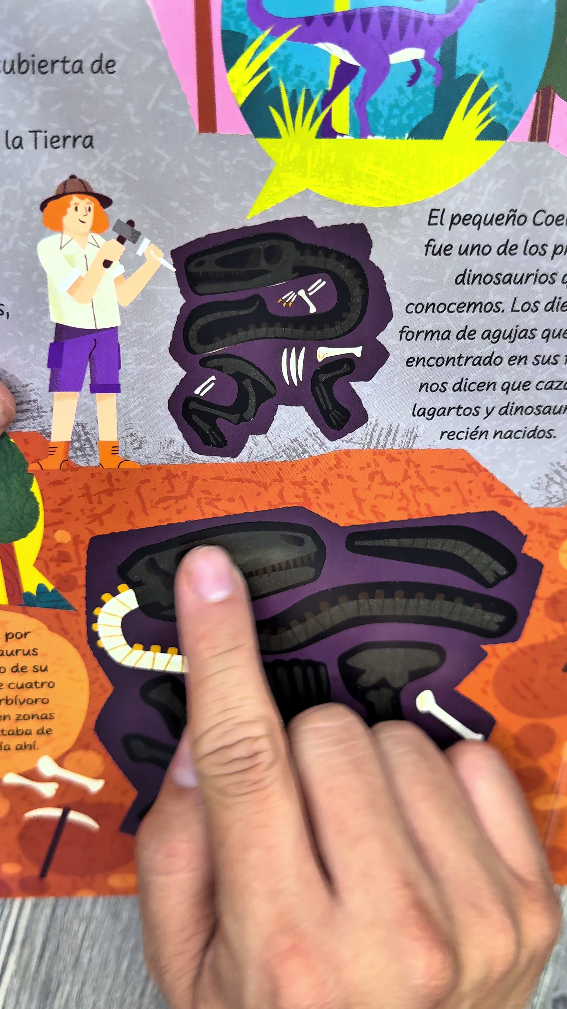 @LIBELULAMX