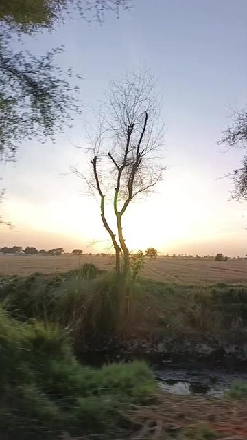 @Sidra Rajpoot