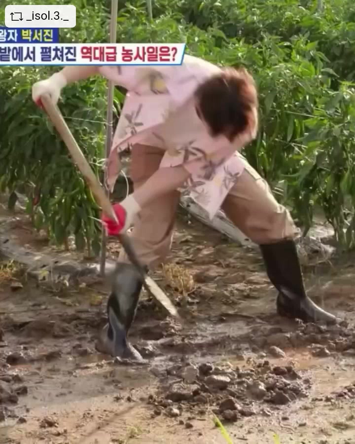 @절대적깜찍이(아산)