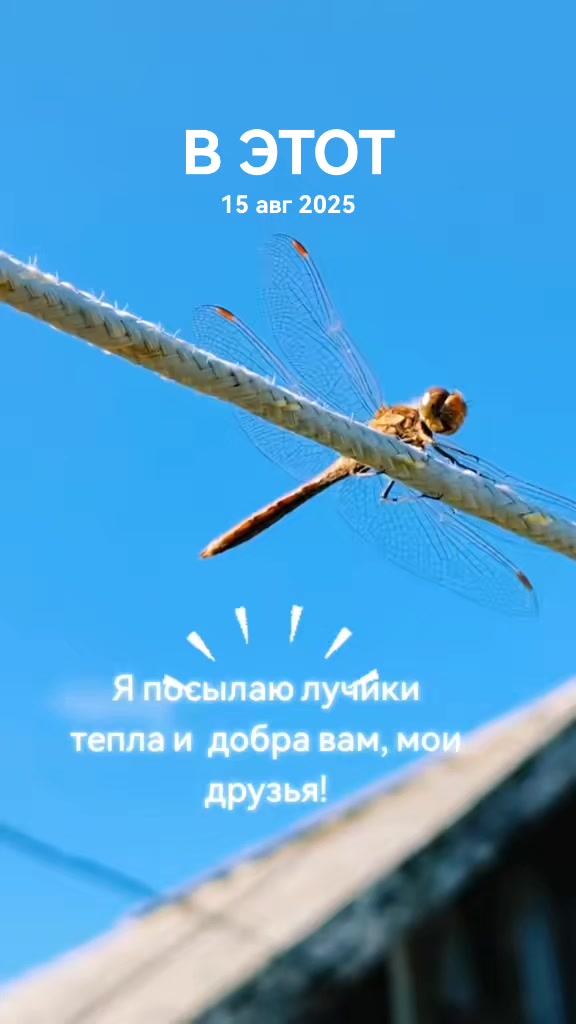 @Наталья Микешина