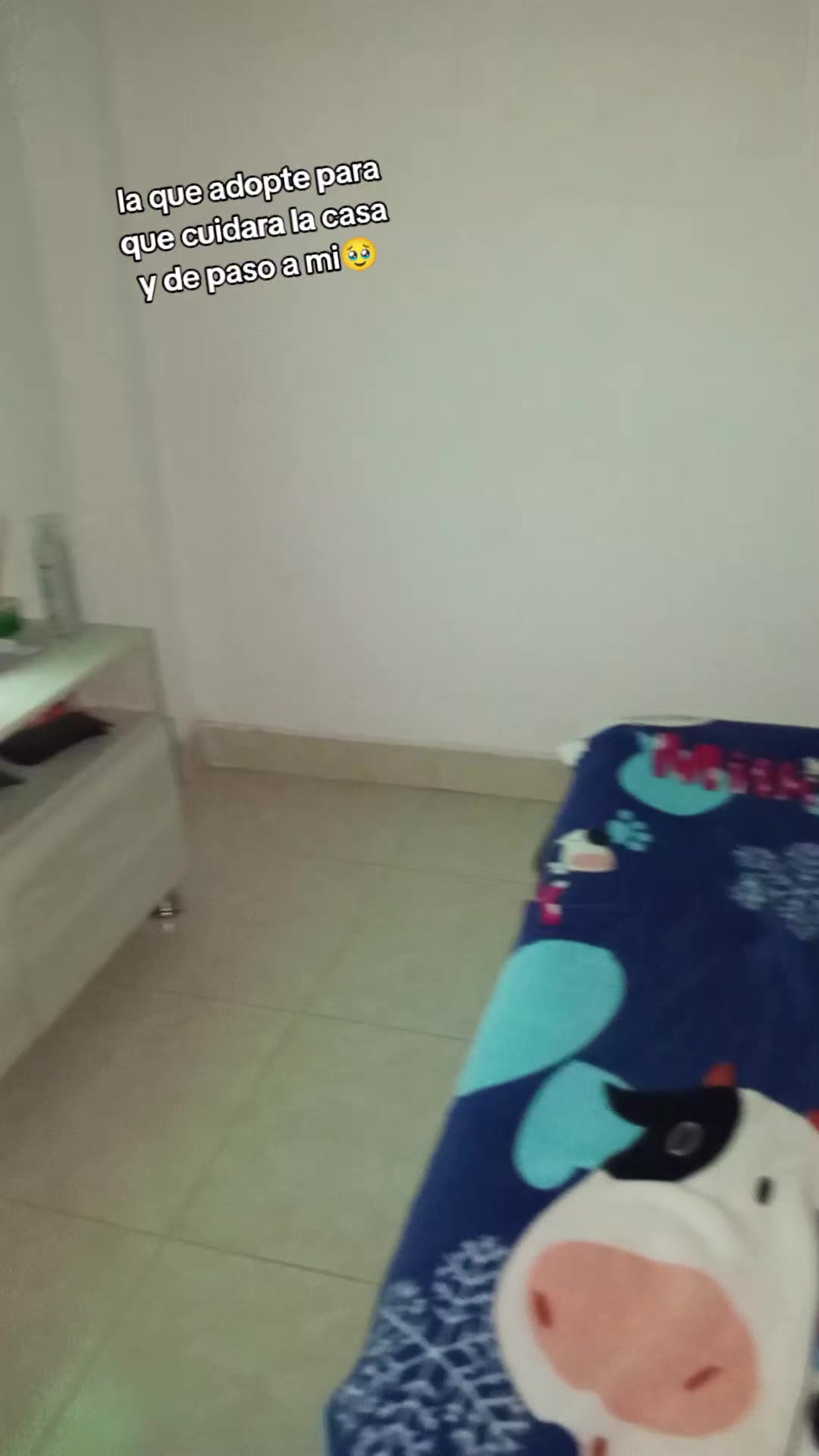 @ALFYULE