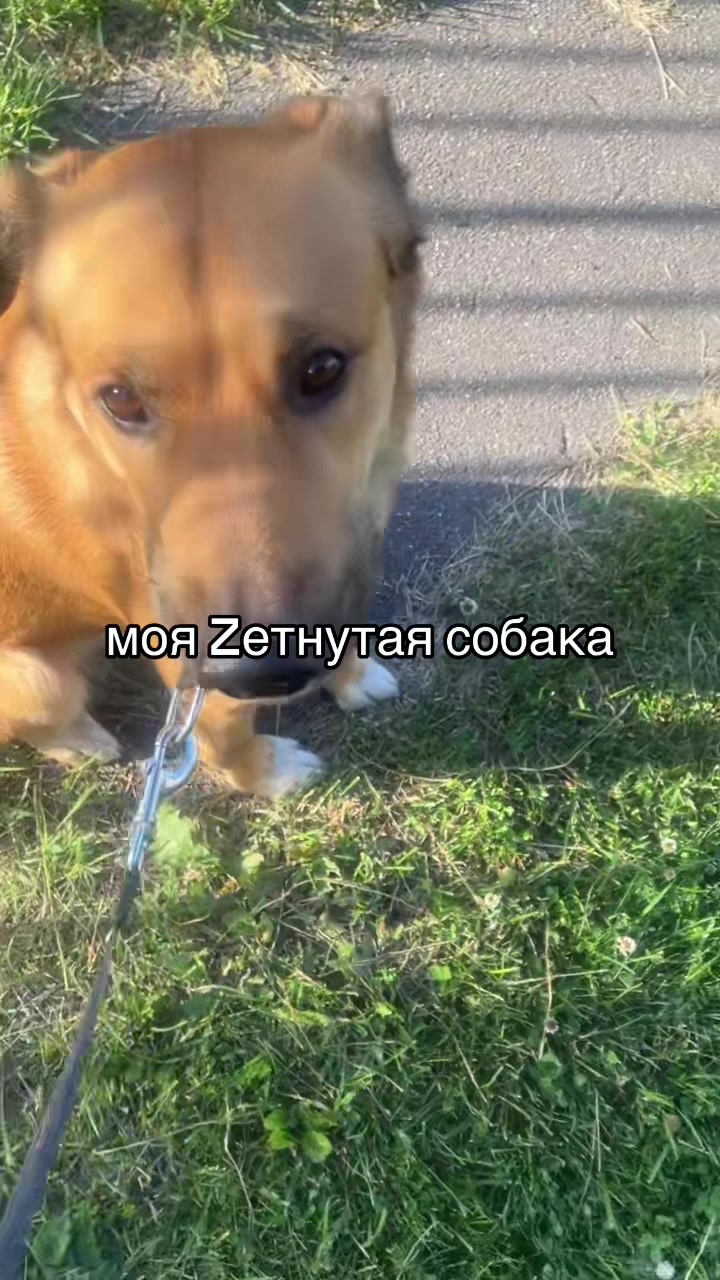 @Хаку 777