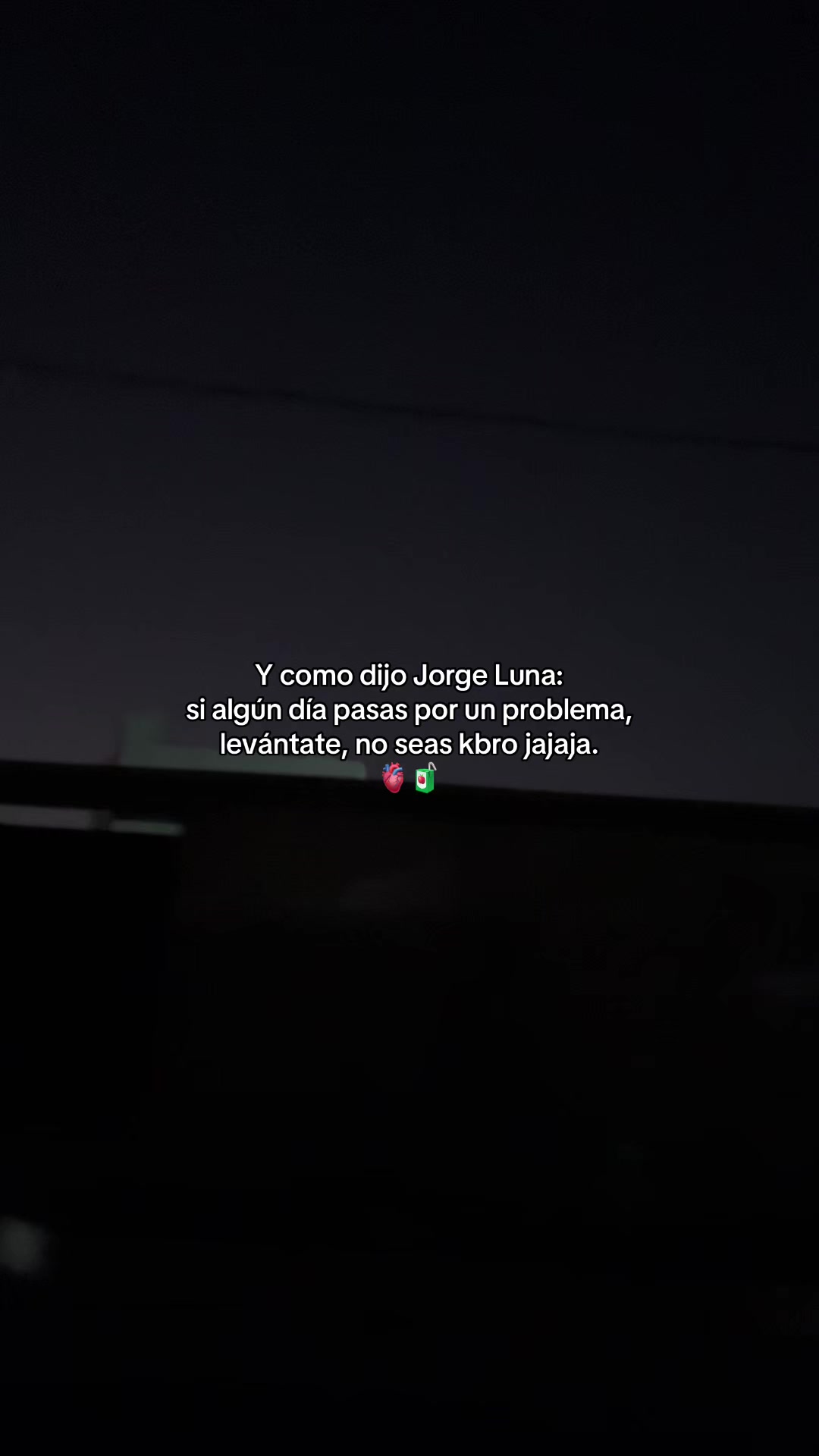 @Gatocix 🐱