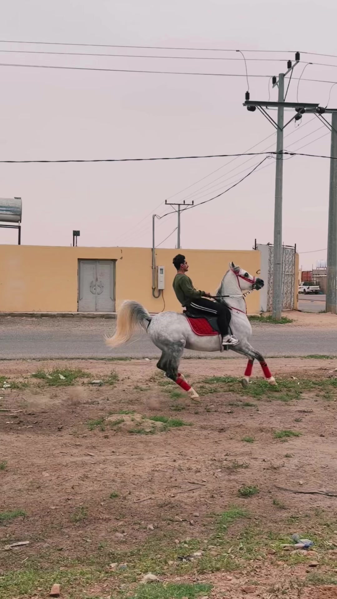 @عامر الشمري🐎