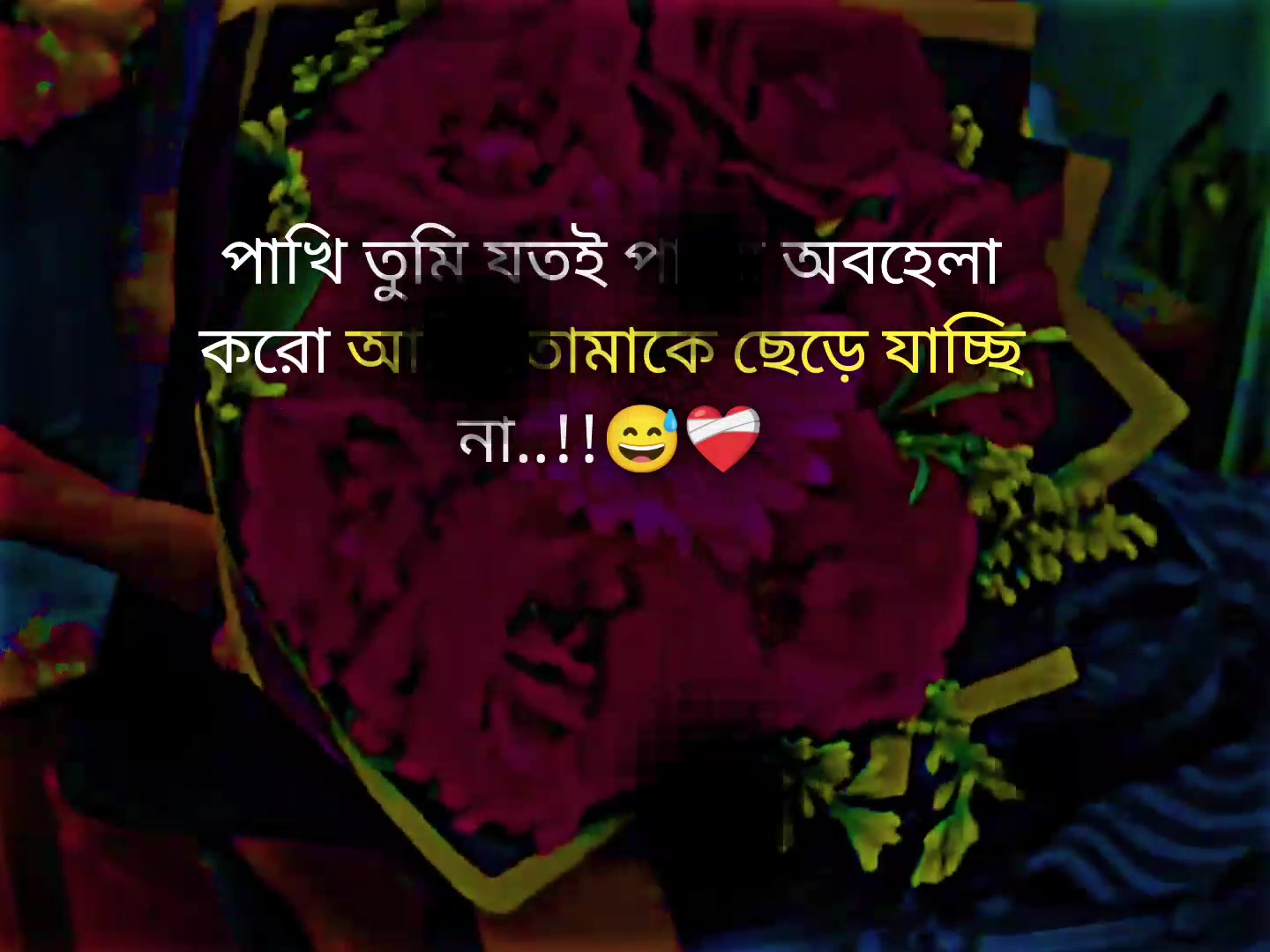 @𝗧𝗮𝗿𝗲𝗸 𝗕𝗵𝗮𝗶𝘆𝗮𝗮'♡︎