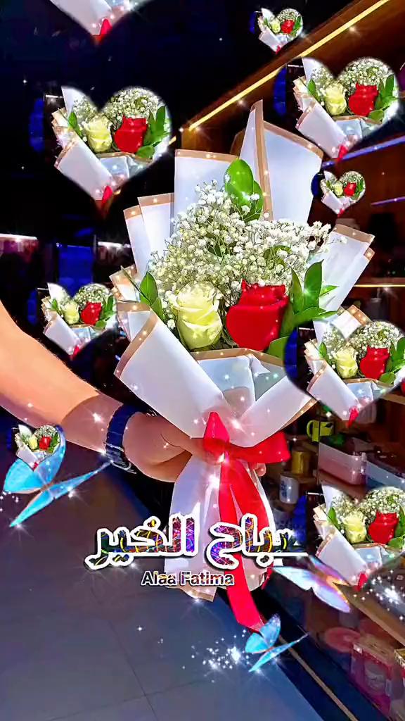 @Alaa Fatima