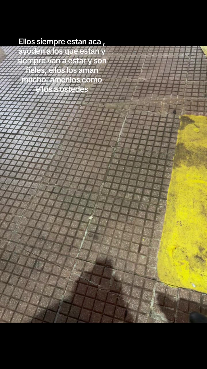 @ElAlex278