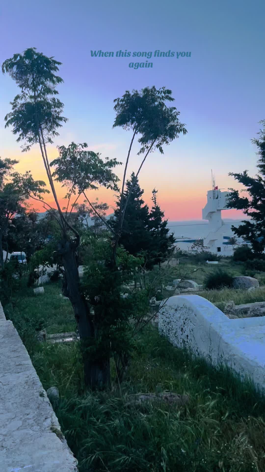 @Assil 🦢
