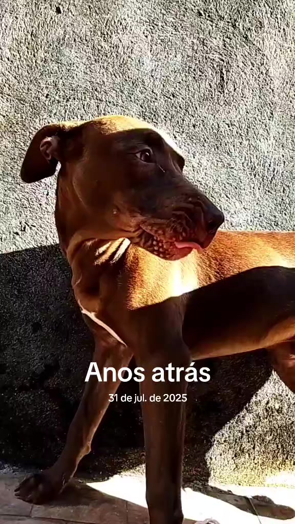 @Thaynarinha