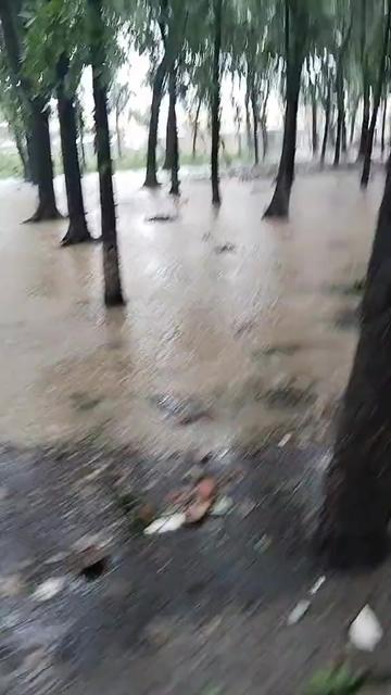 @গোপালী