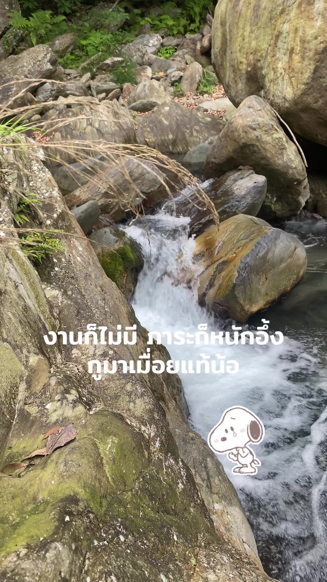 @มิ้นท์ น๊าาเนี่ย🌻🤍