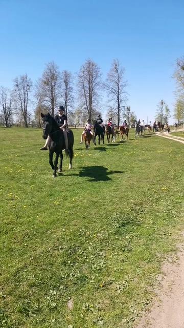 @КК "Фриз"🏇