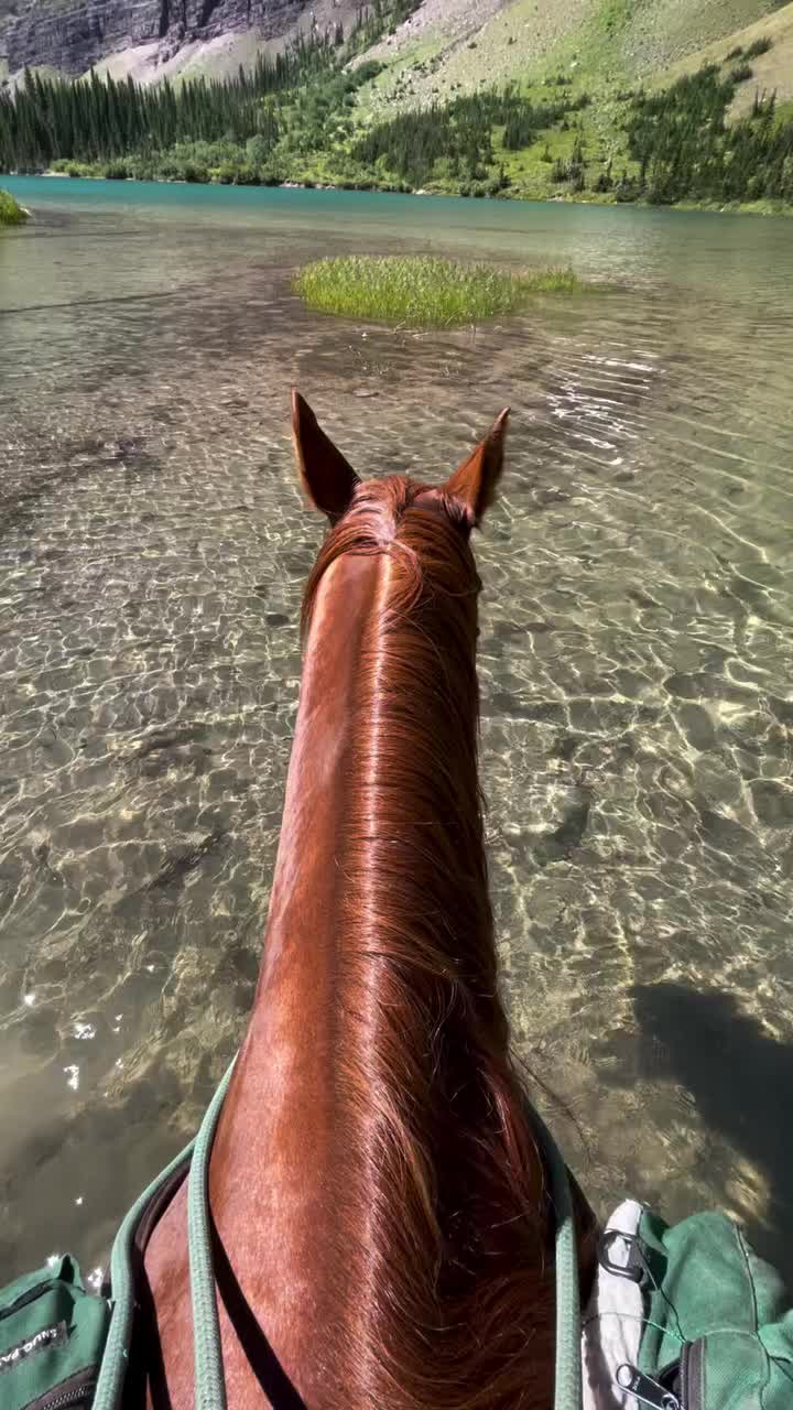 @ThunderGallops