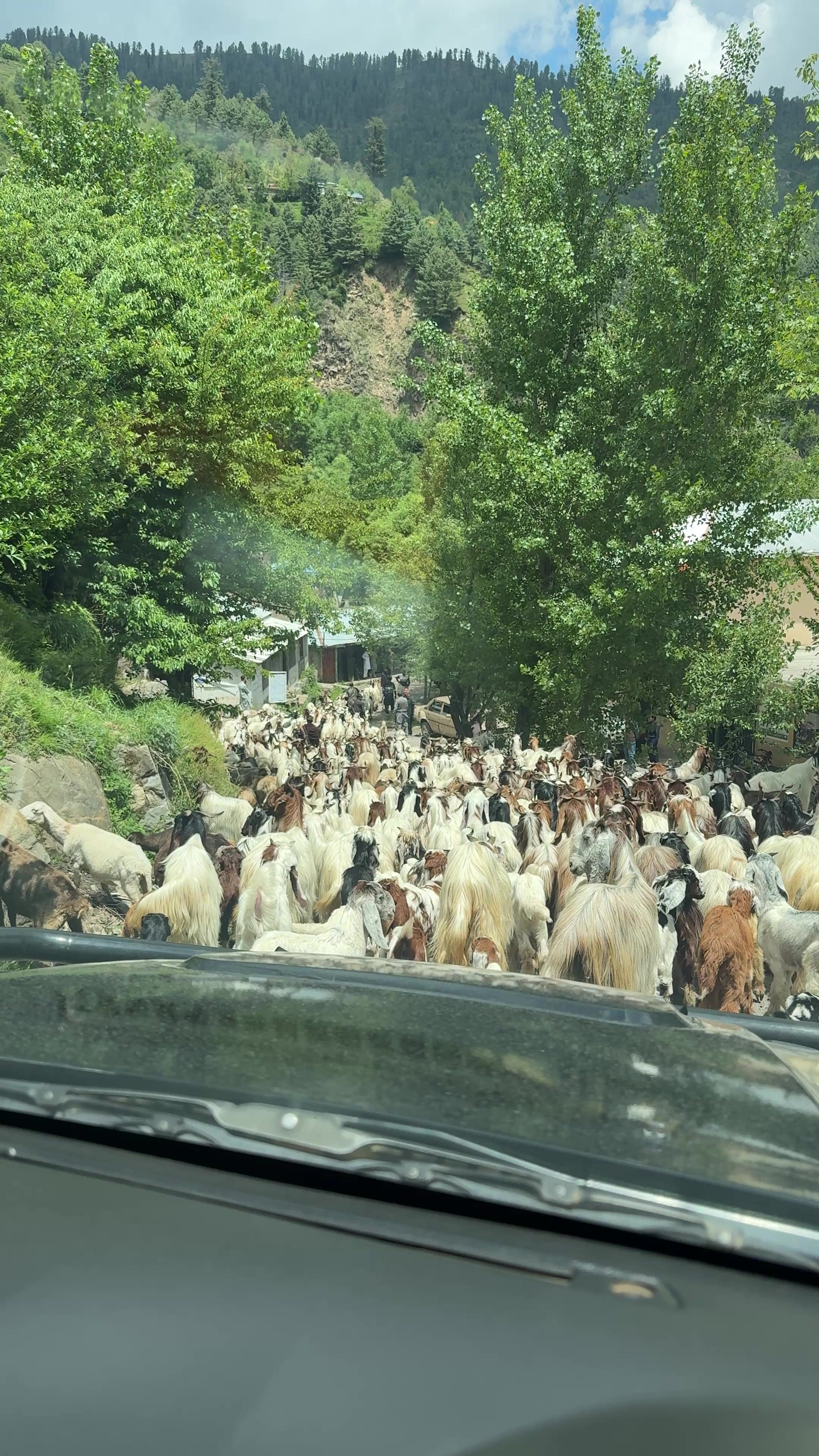 @Sohail Kashmiri.