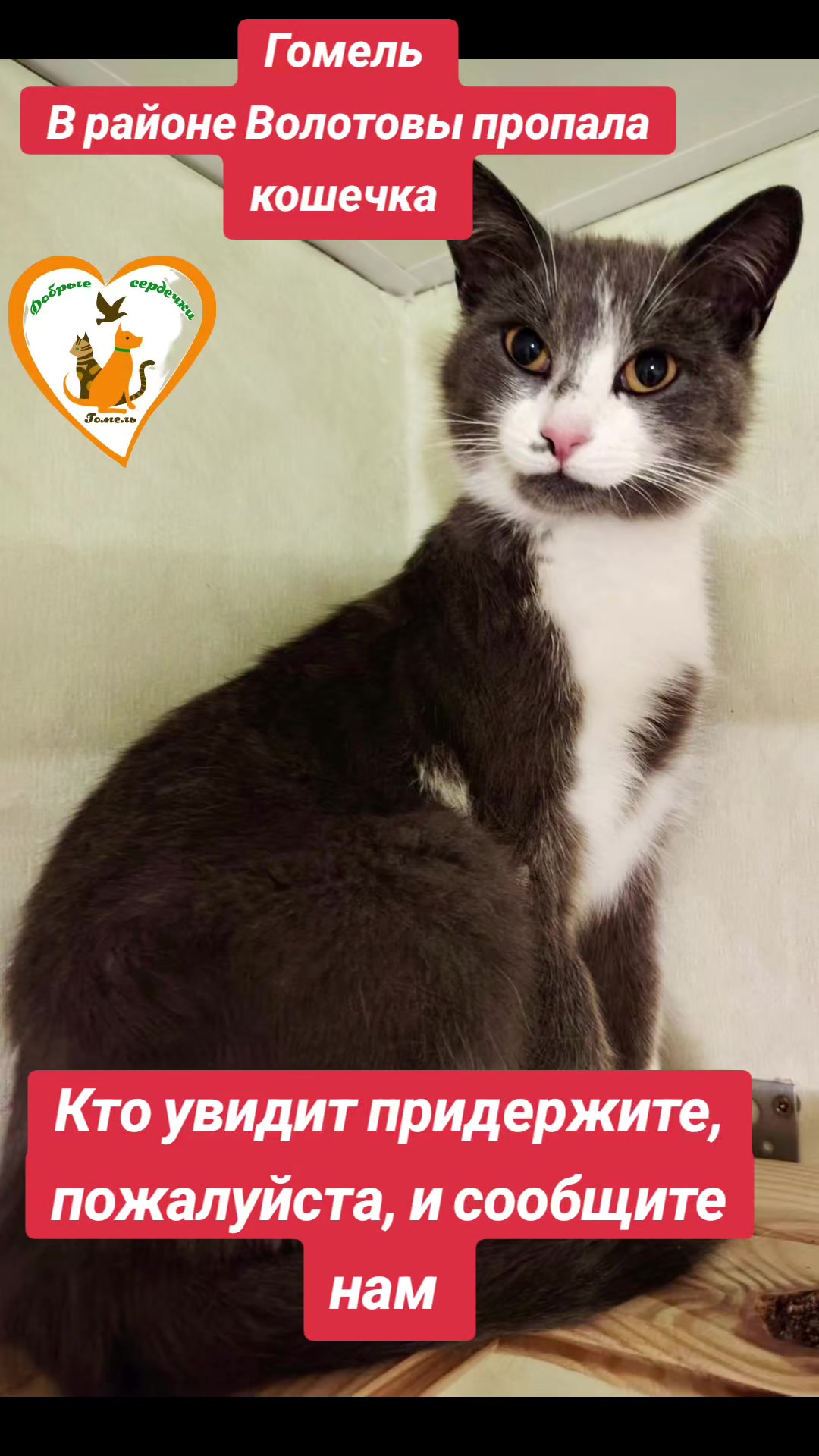 @Марина