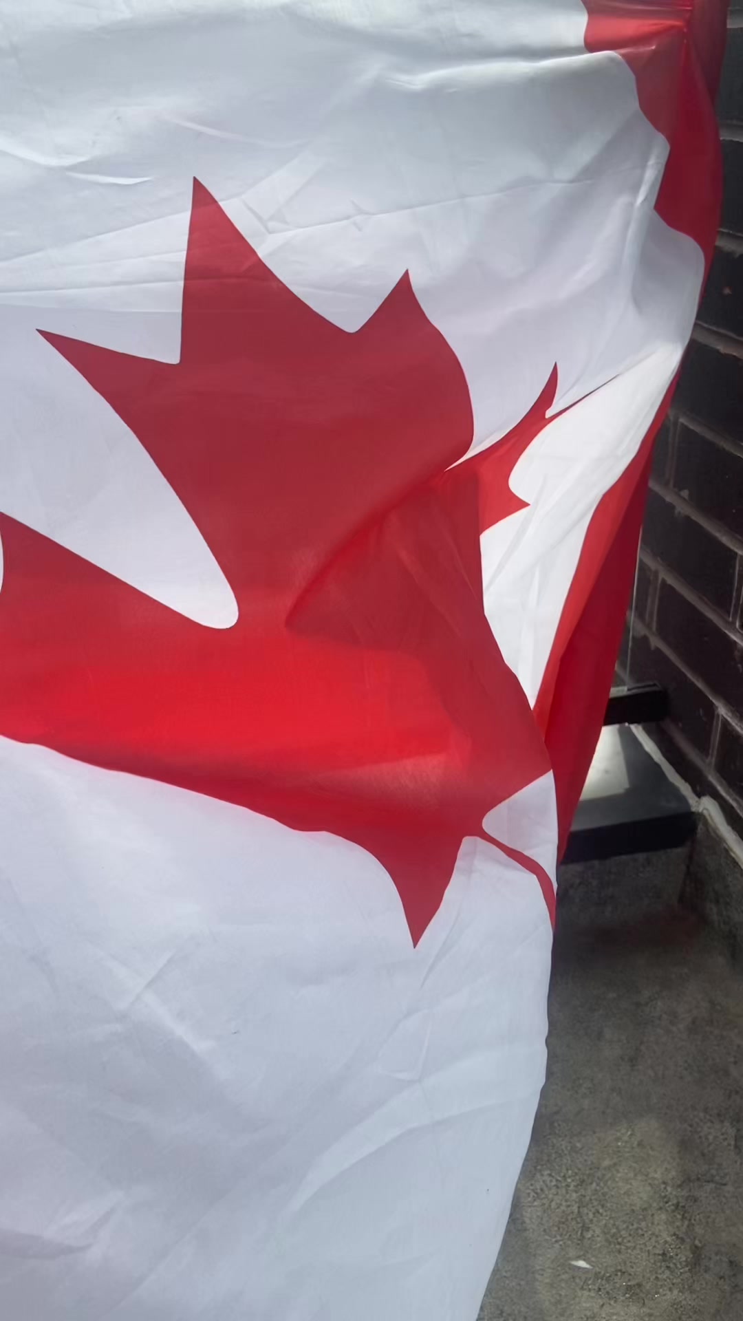 @Thomas Fidler 🇨🇦