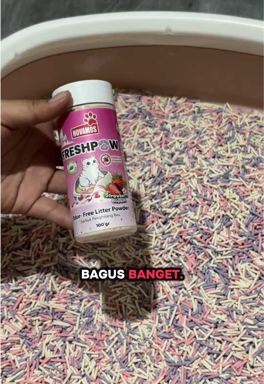 @BUMI ANABUL😺