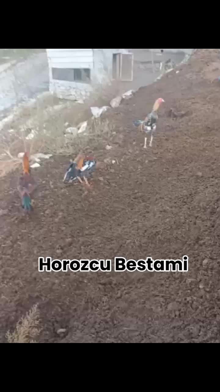 @horozcu_31