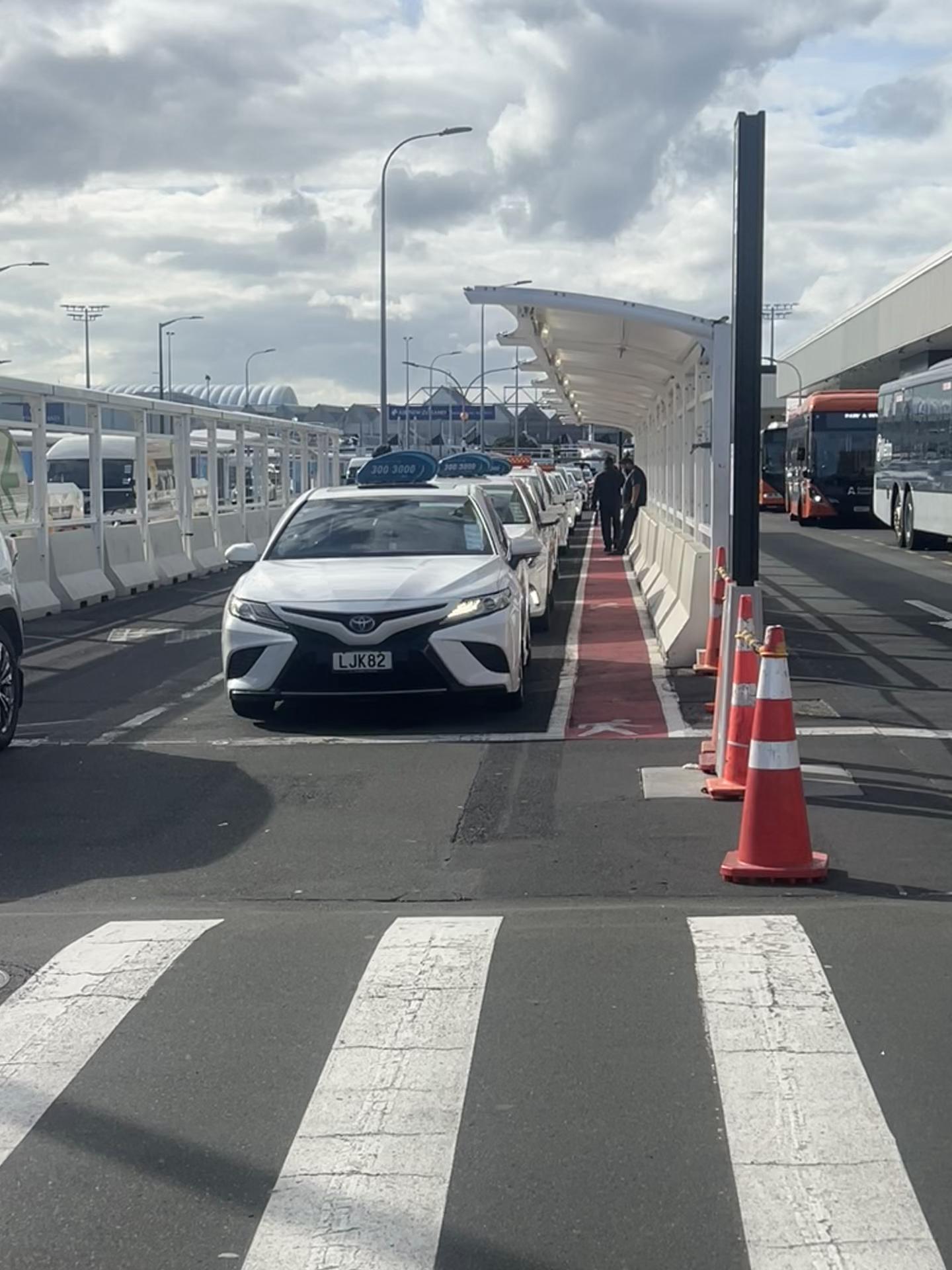 @Auckland wale