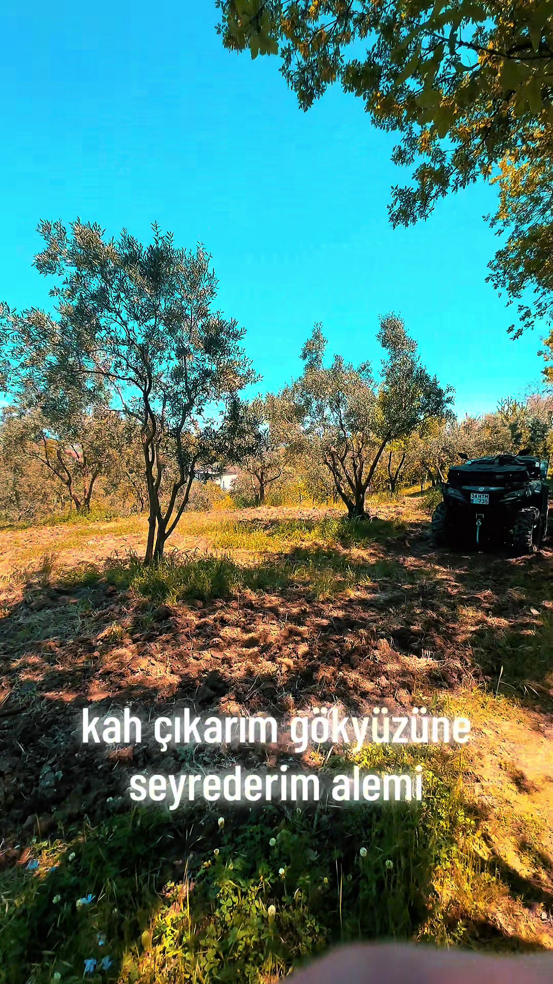 @Sezgin Akin