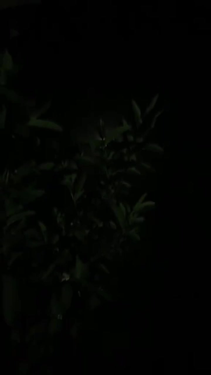 @ھادی ✨🌸