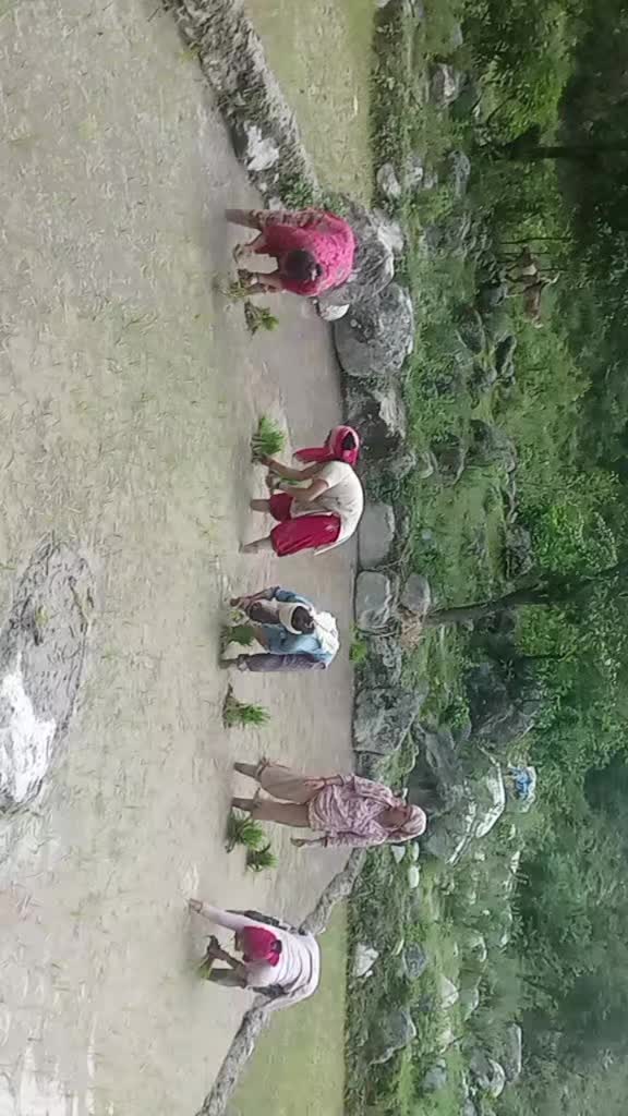 @surendra mina