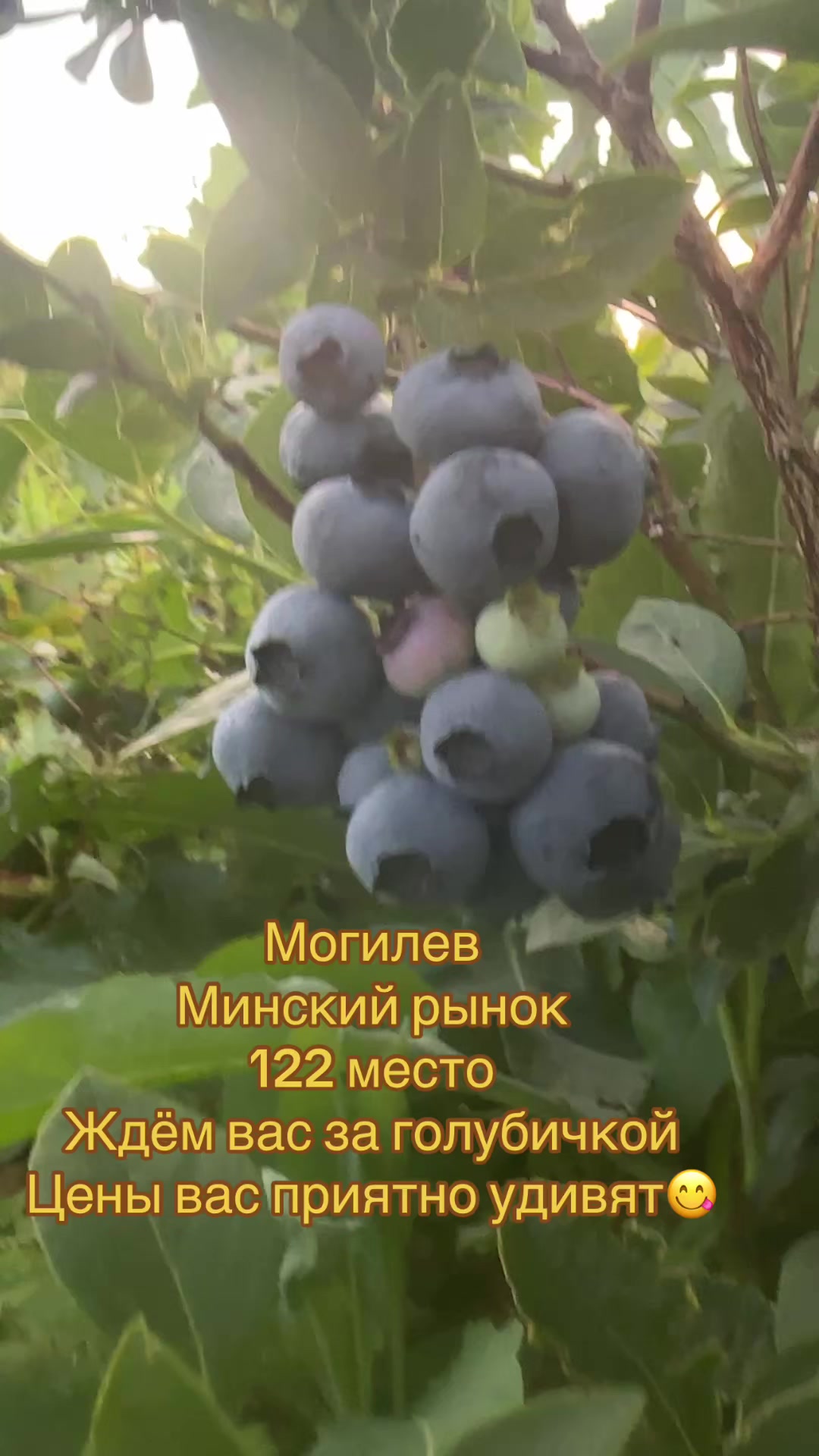 @Данута Манюк