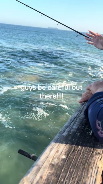 @dani